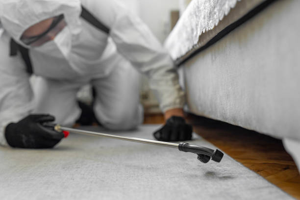 Professional Pest Control technician working in East Freehold, NJ