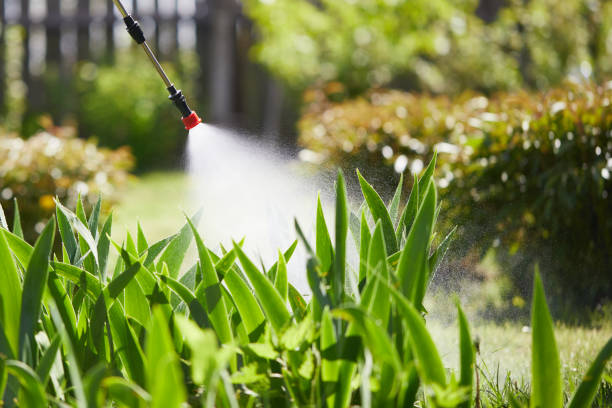 24/7 Emergency Mosquito Control experts in East Freehold, NJ
