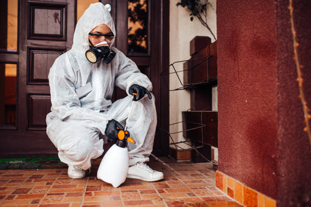 Reliable Mosquito Control contractor in East Freehold, NJ by Nex Pest Control